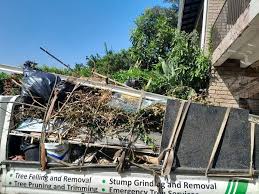 Best Recycling Services for Junk in Countryside, VA